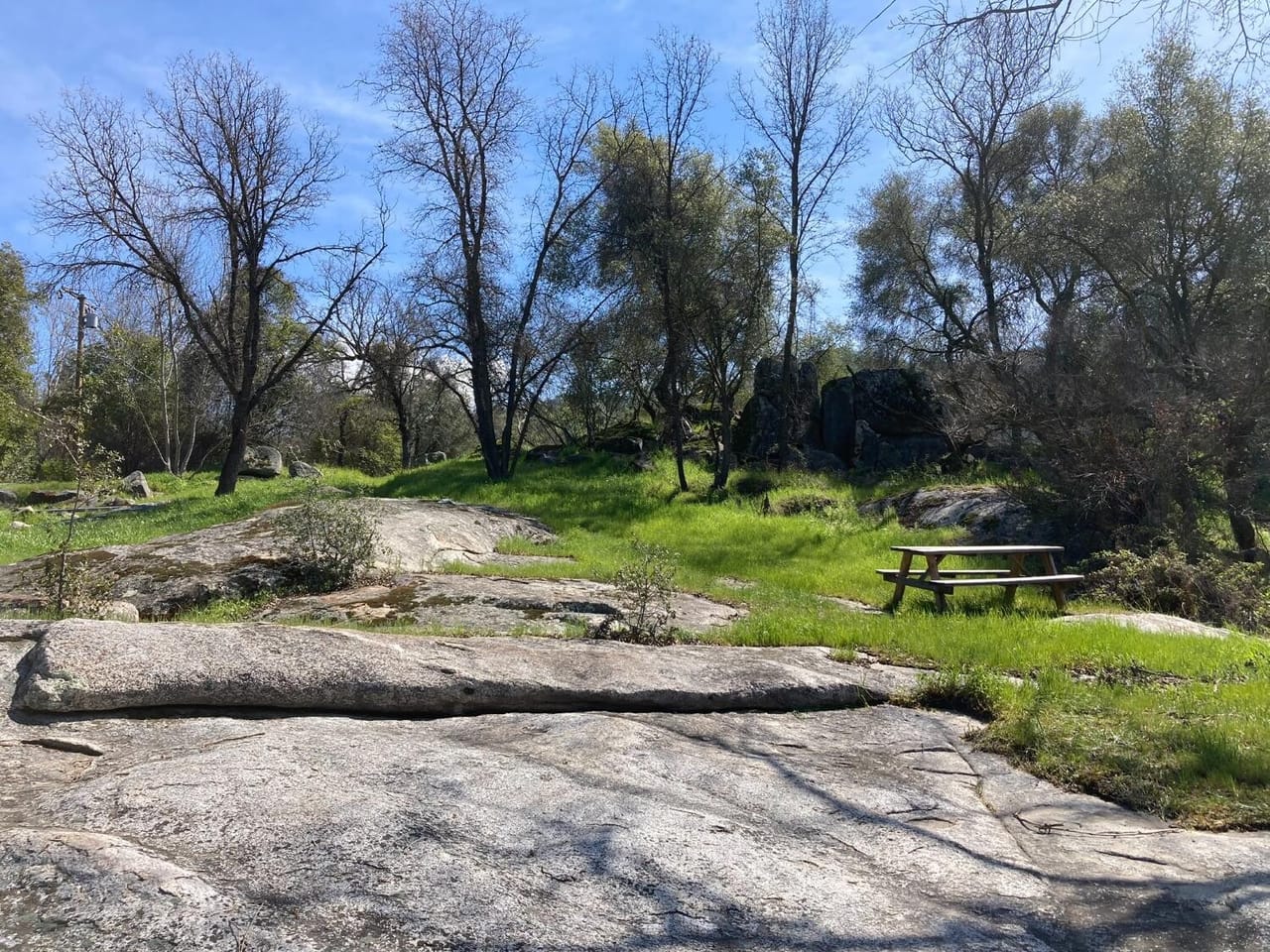 Listing Image 130