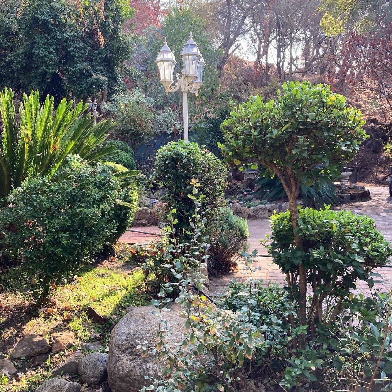 Listing Image 139