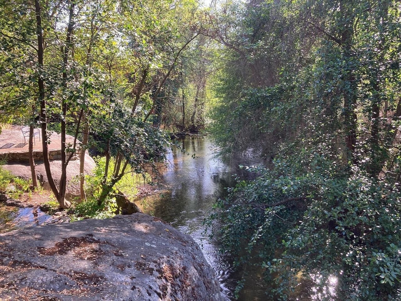 Listing Image 140