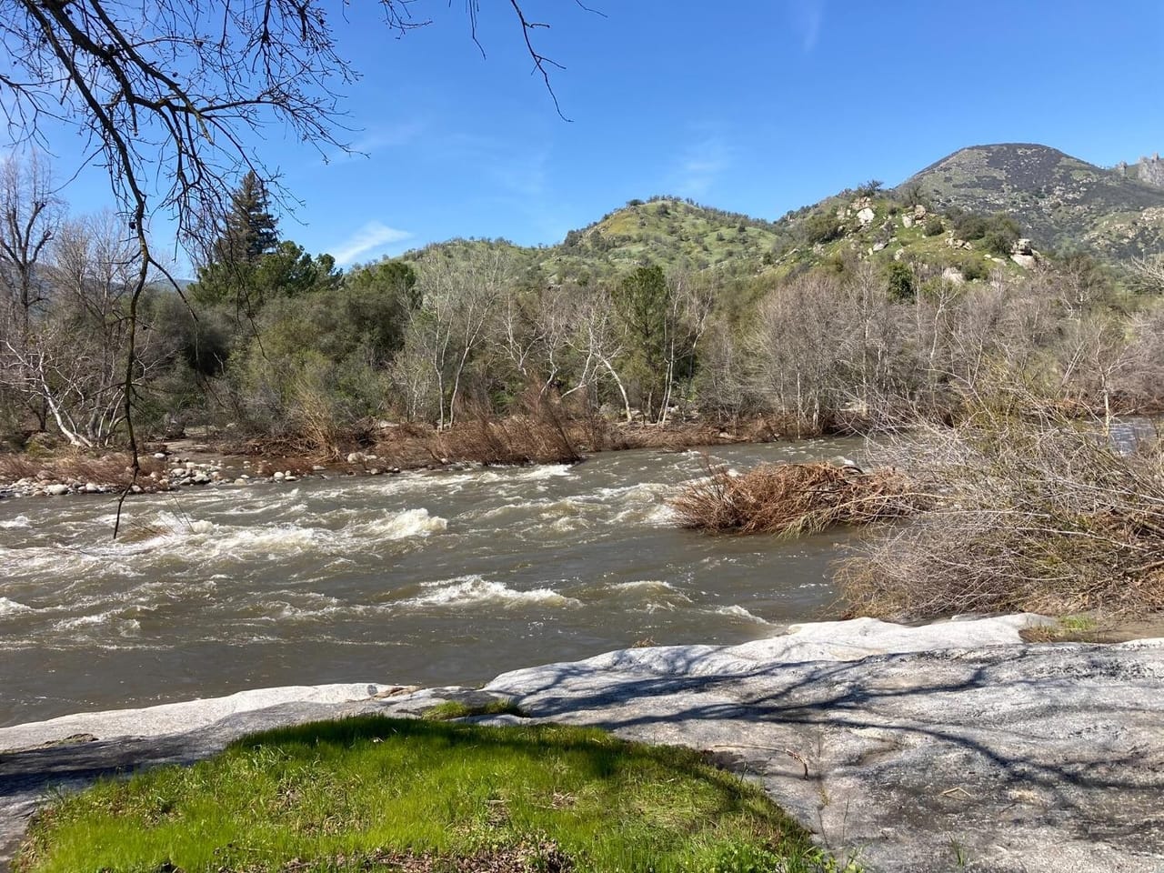 Listing Image 37