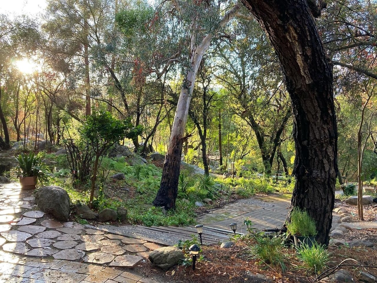 Listing Image 70