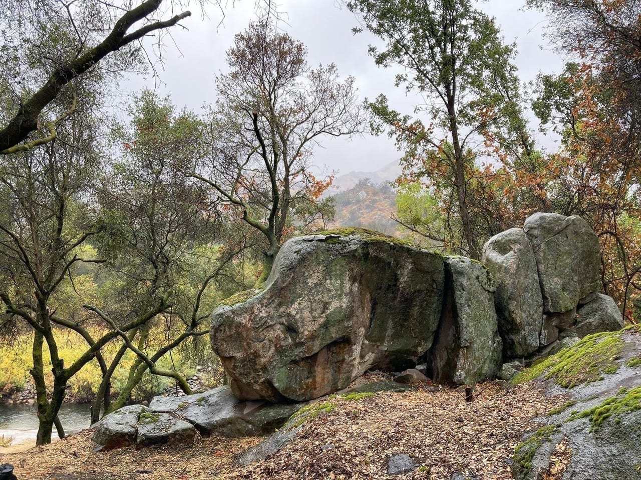 Listing Image 78
