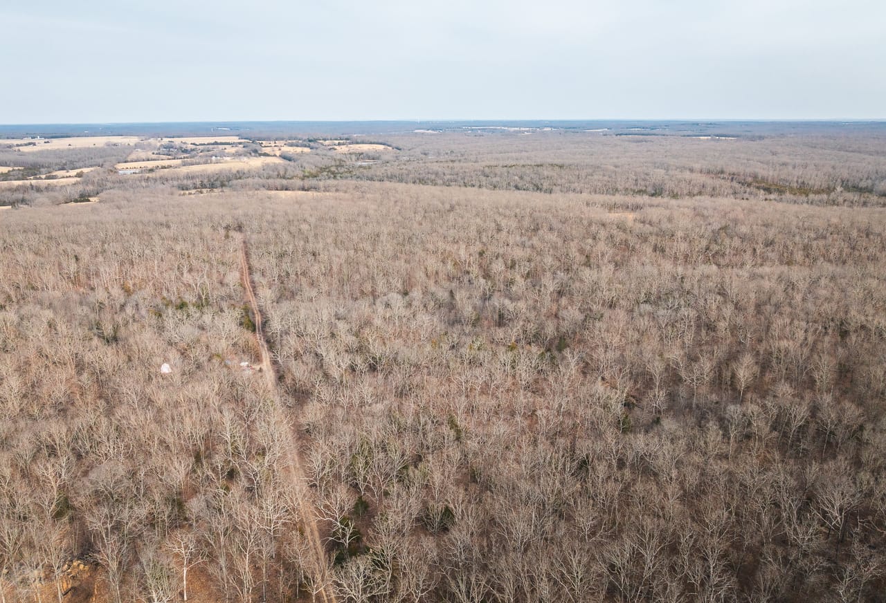 County Line Deer Camp