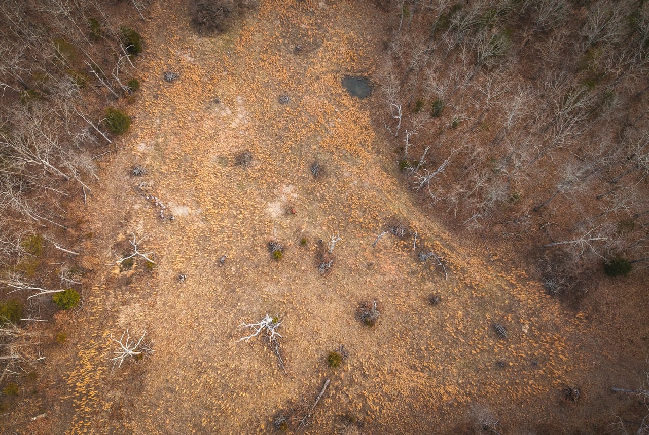 County Line Deer Camp