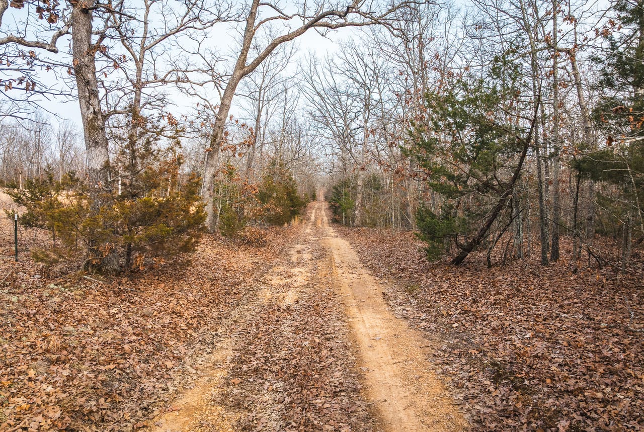 County Line Deer Camp