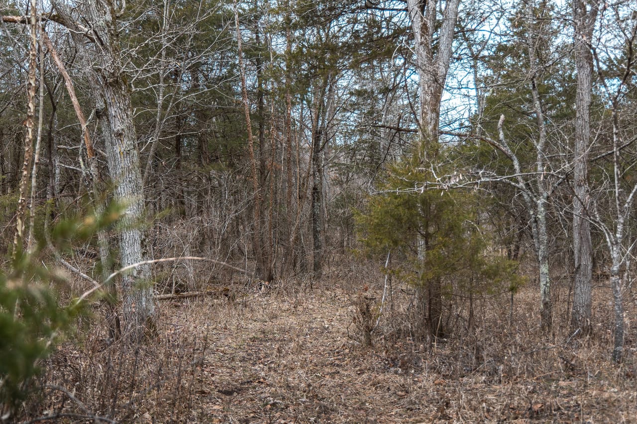 County Line Deer Camp