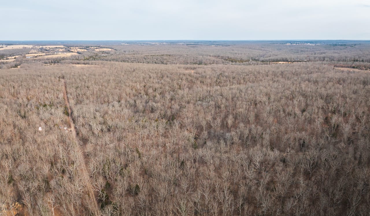 County Line Deer Camp