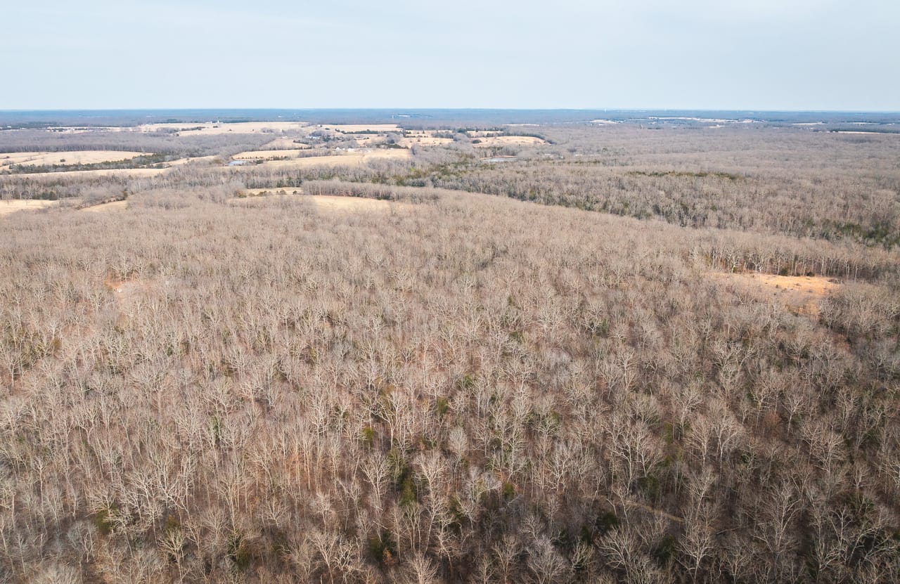 County Line Deer Camp