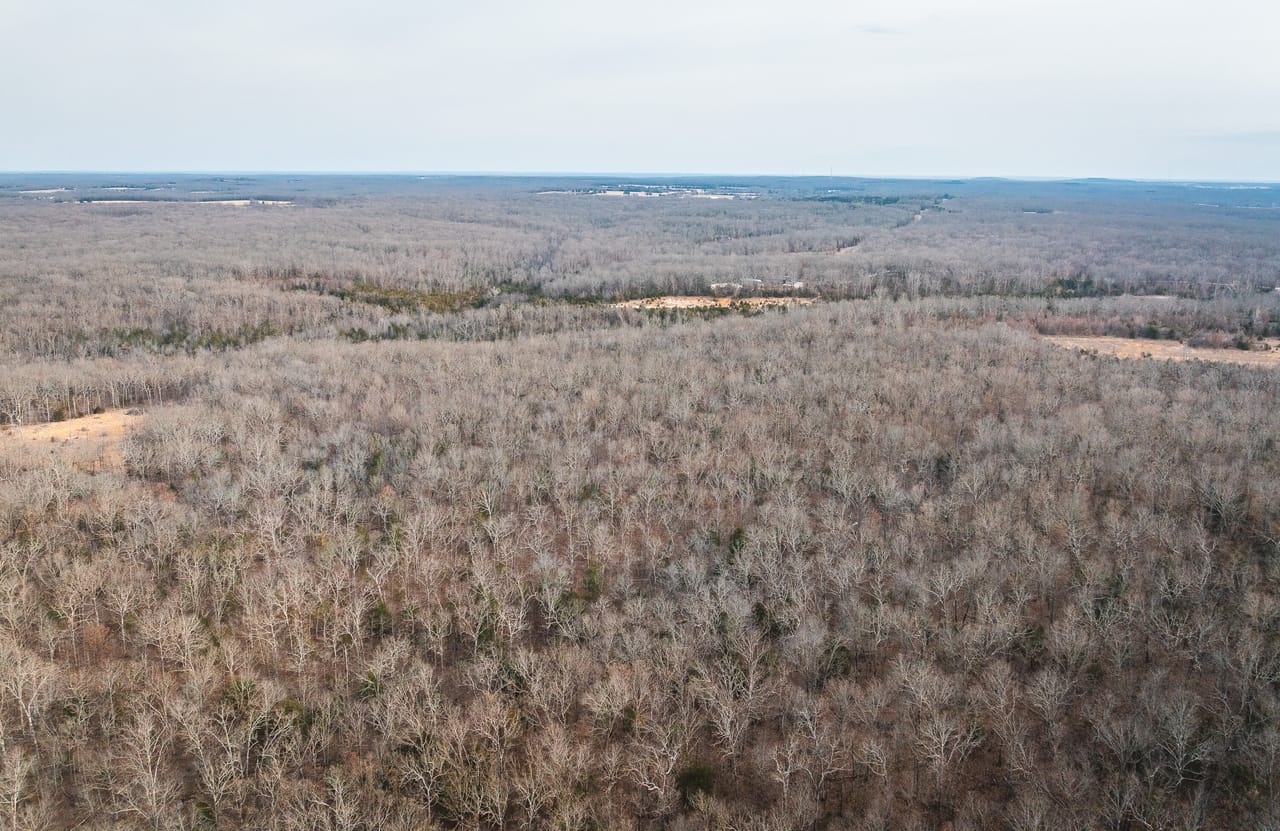 County Line Deer Camp
