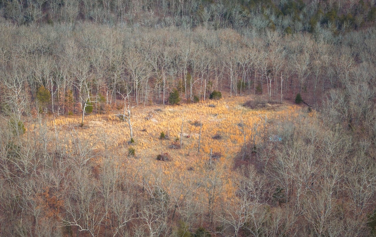 County Line Deer Camp