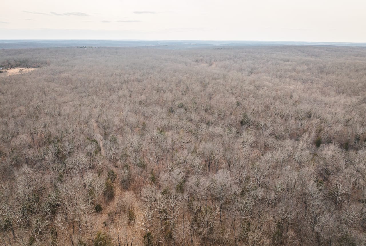 County Line Deer Camp