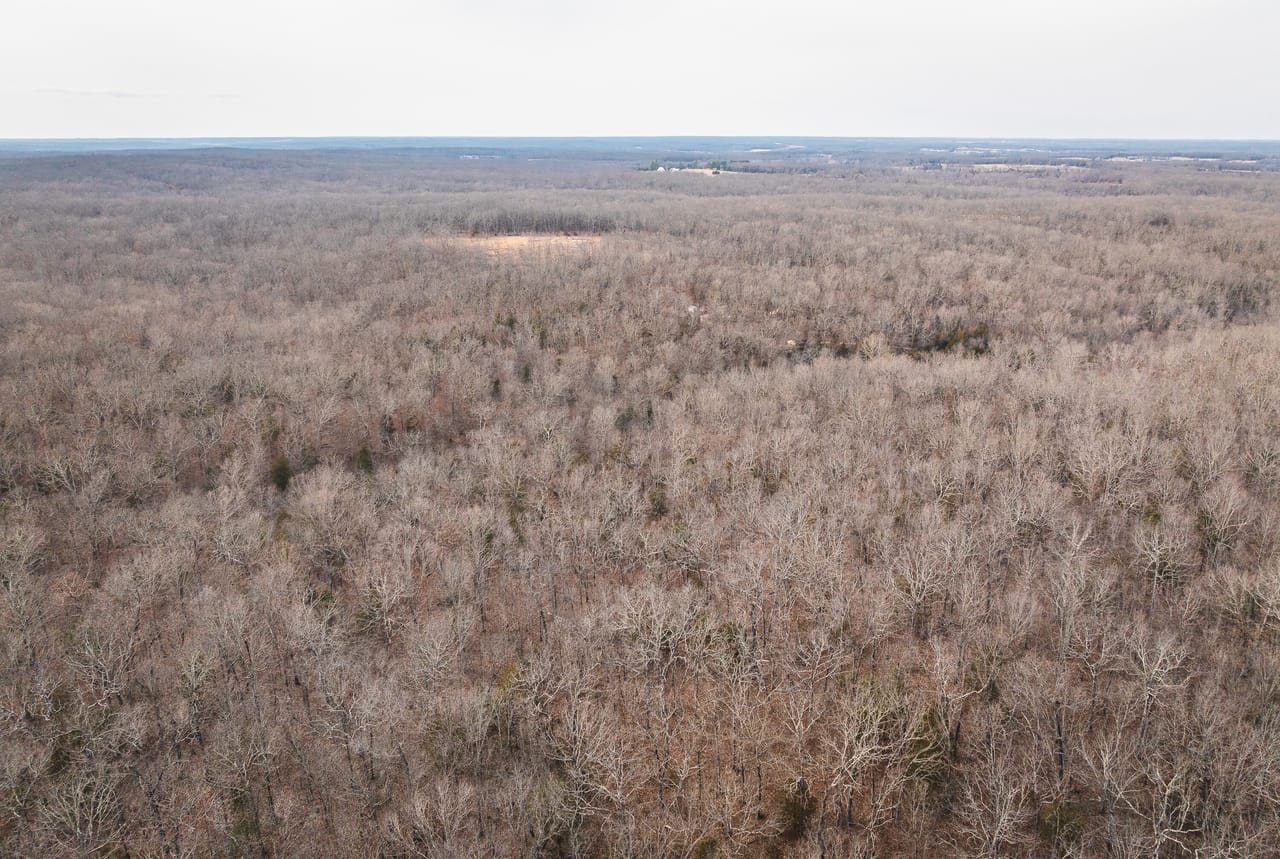 County Line Deer Camp