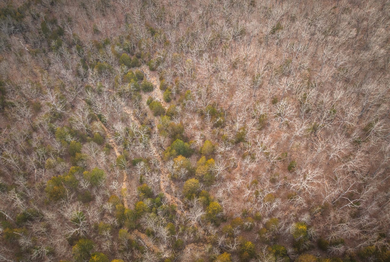 County Line Deer Camp