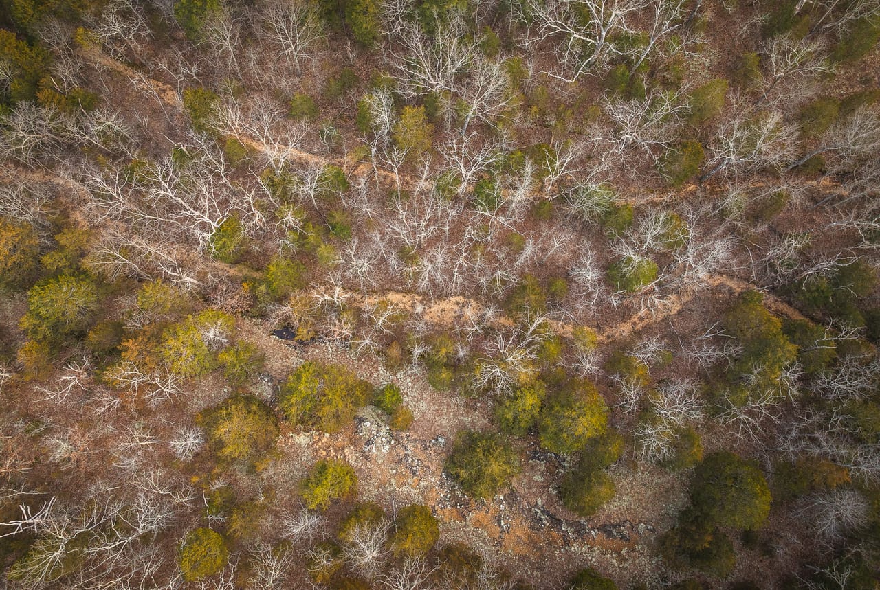 County Line Deer Camp