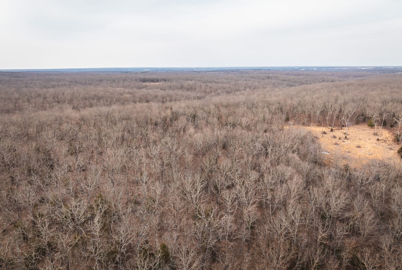 County Line Deer Camp