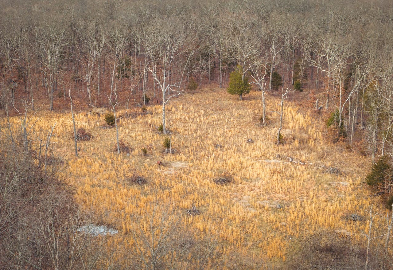 County Line Deer Camp