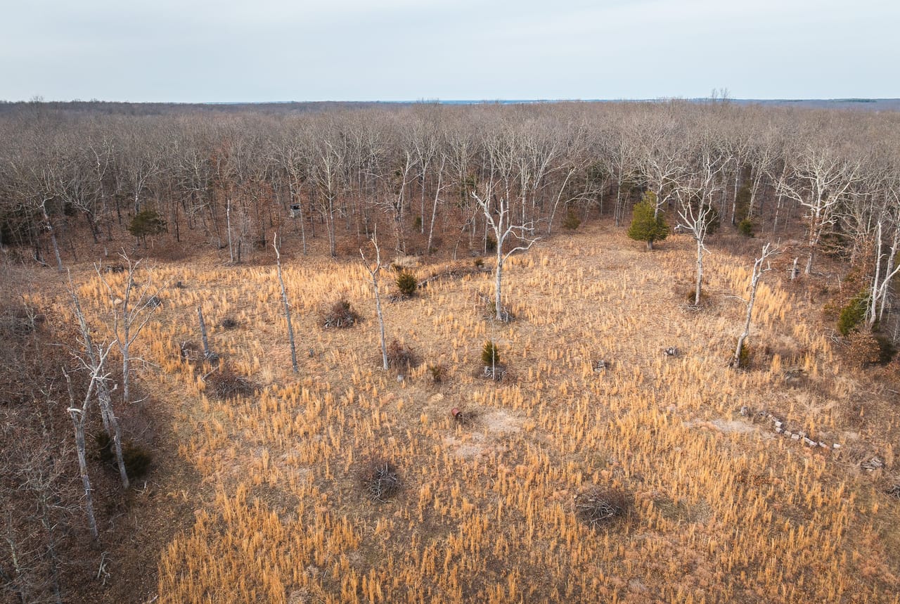 County Line Deer Camp