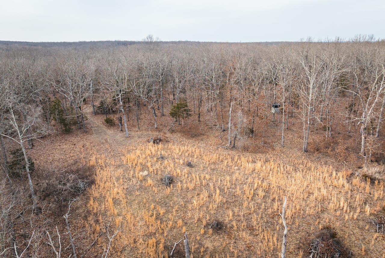 County Line Deer Camp