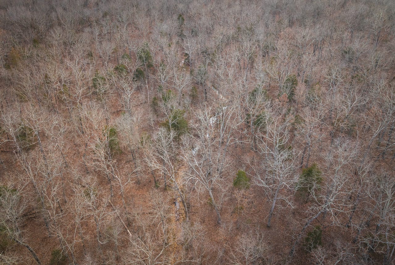 County Line Deer Camp