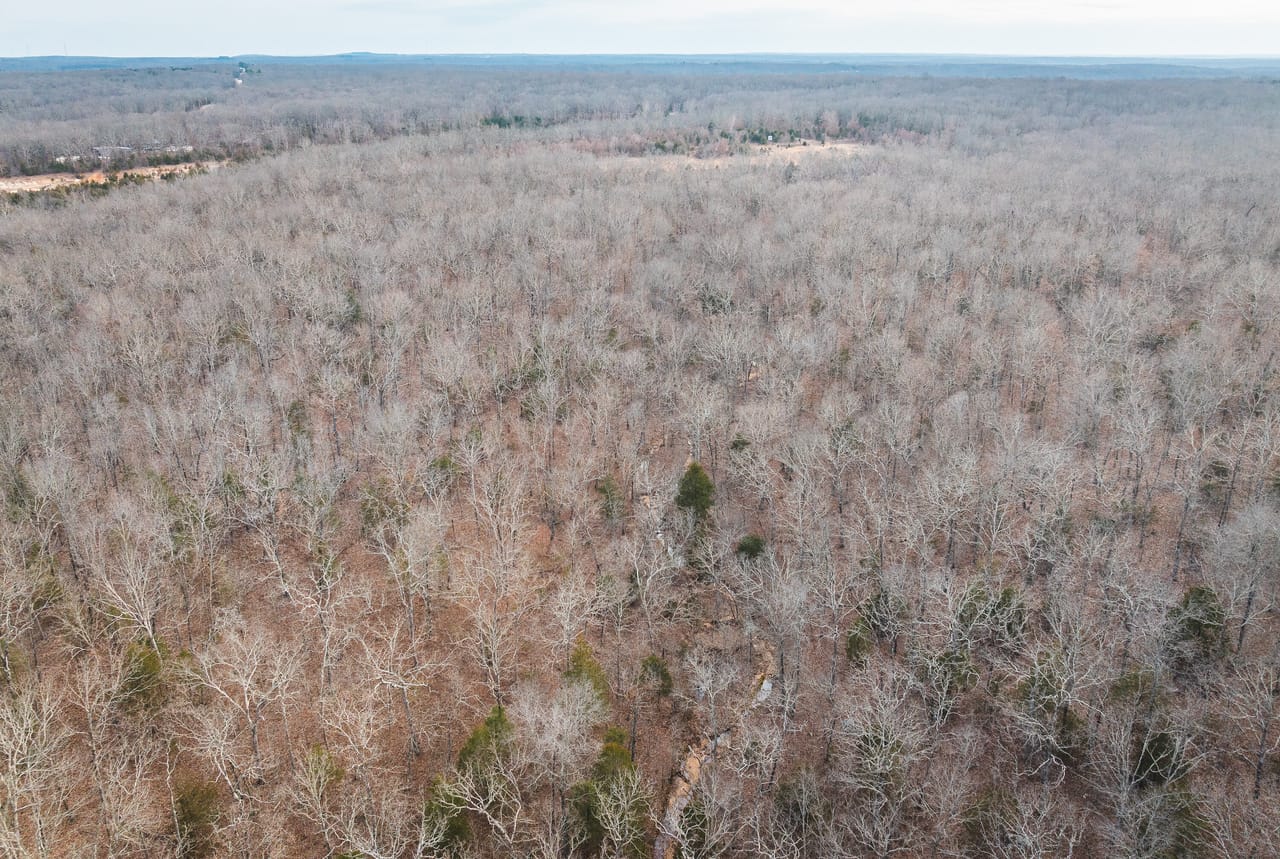County Line Deer Camp