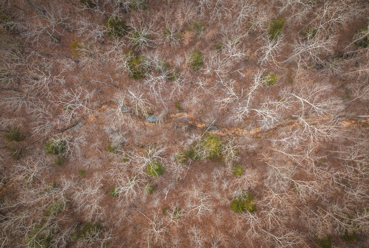 County Line Deer Camp
