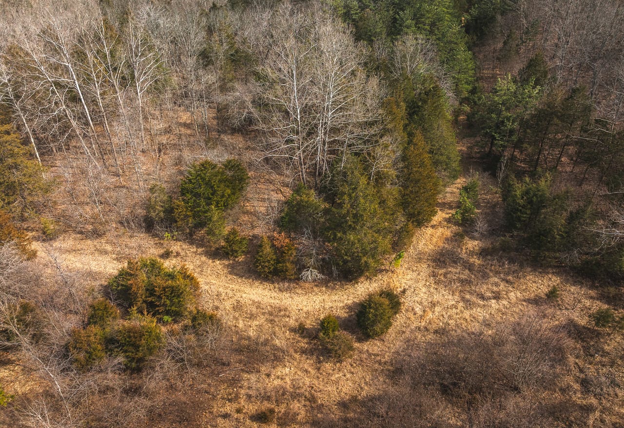 Listing Image 18