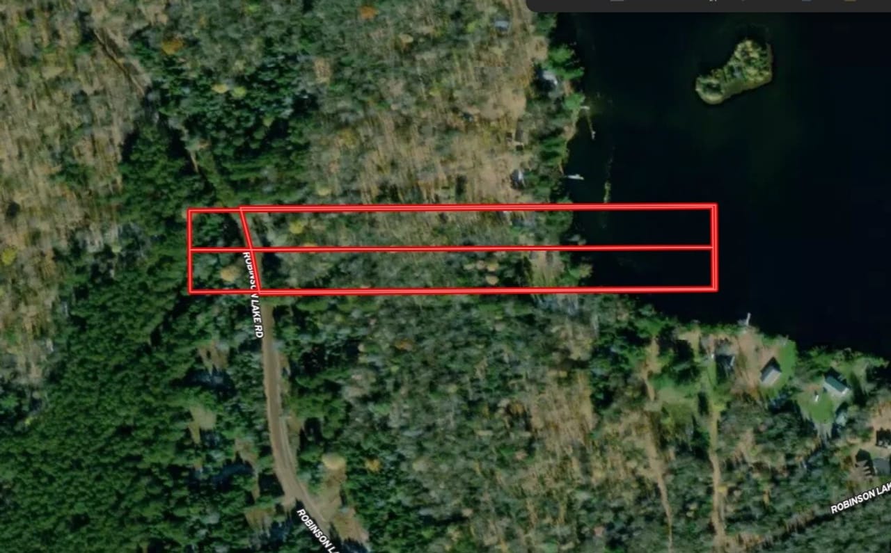 U.P. Robinson Lake Parcel 50167828
