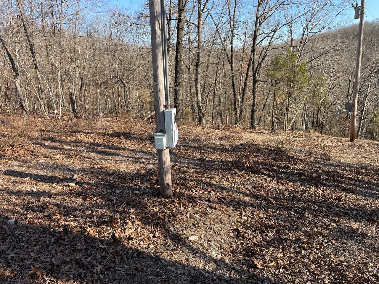 Bald Eagle Drive 10