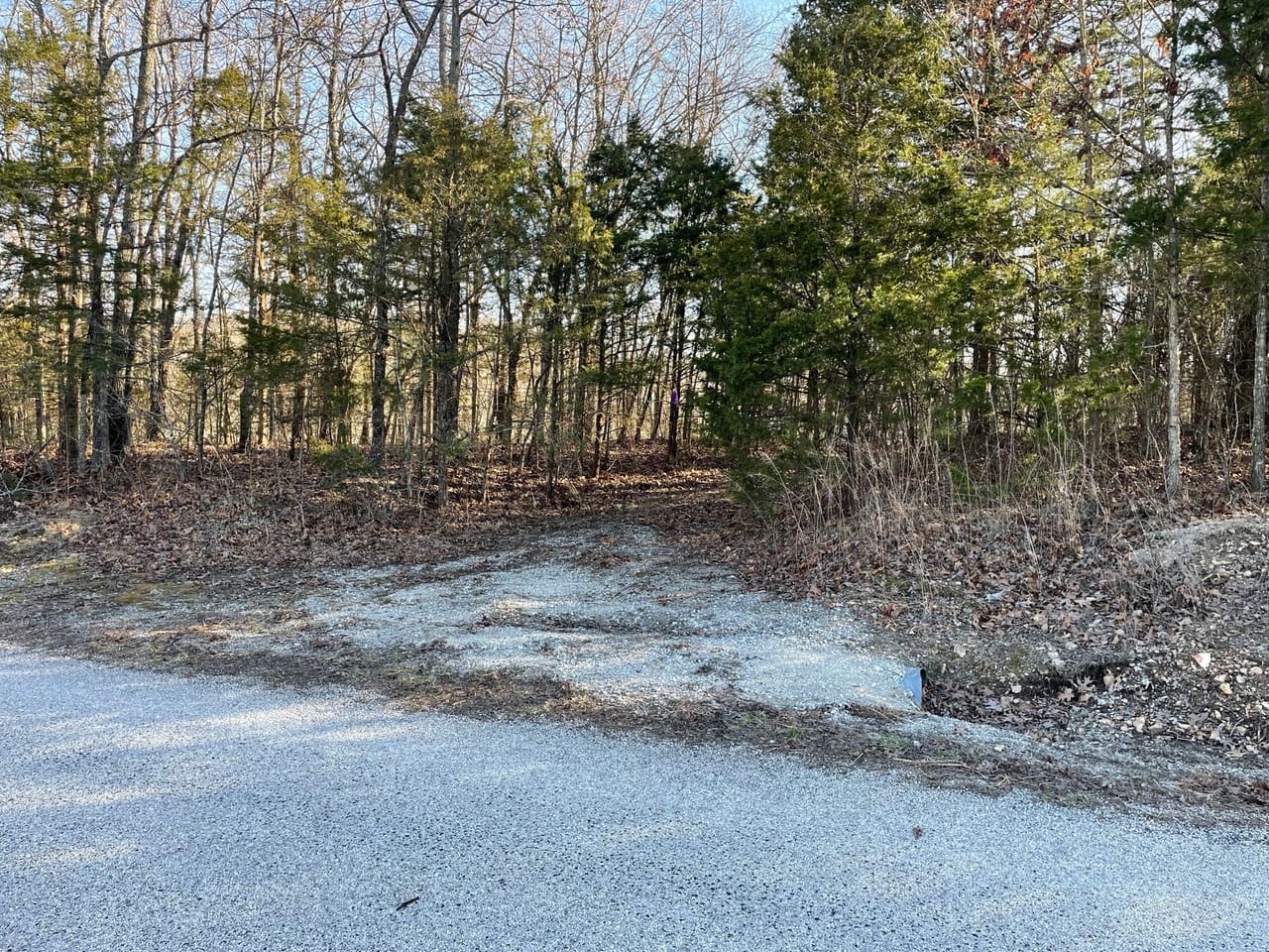 Bald Eagle Drive 10