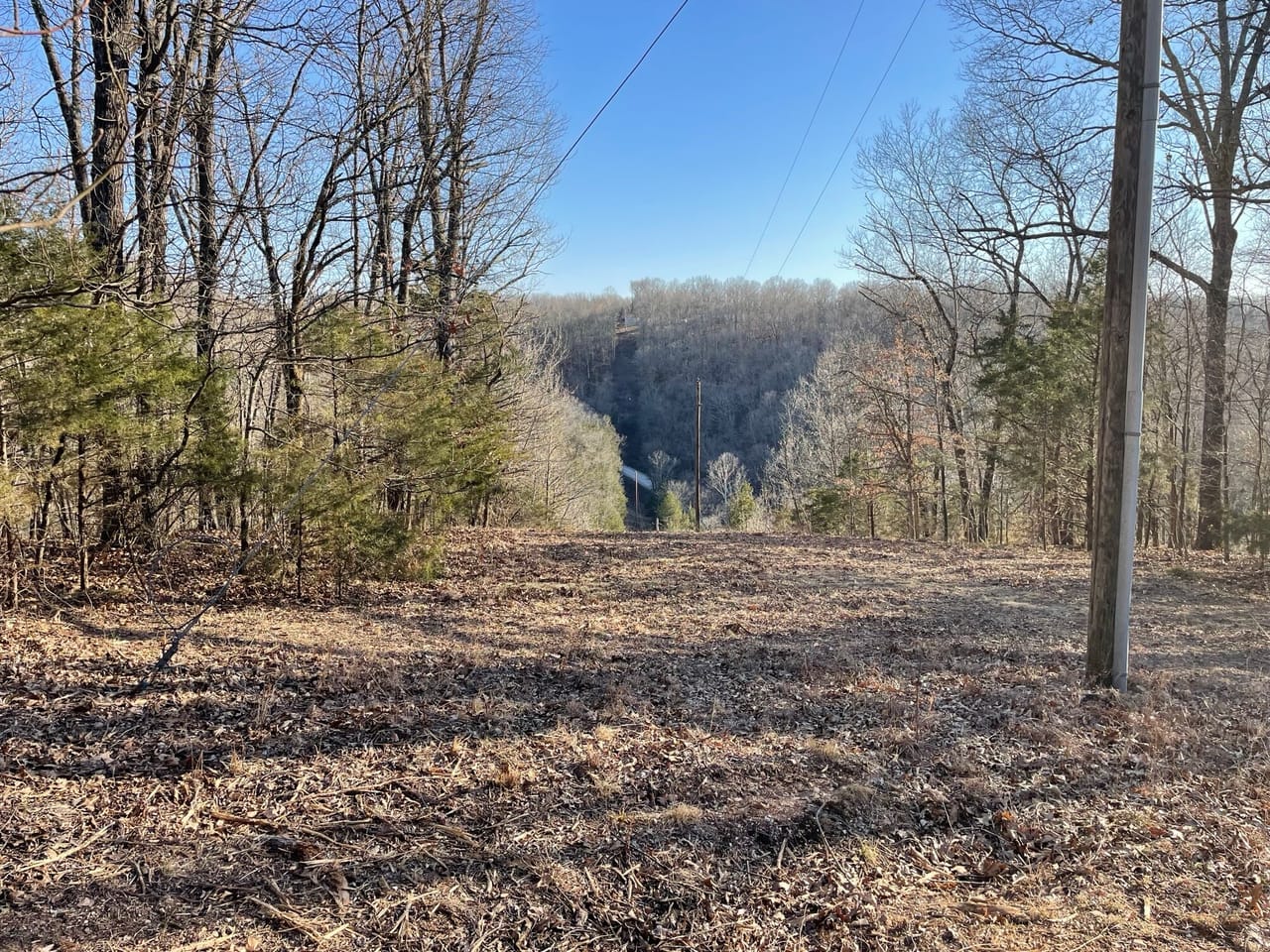 Bald Eagle Drive 10