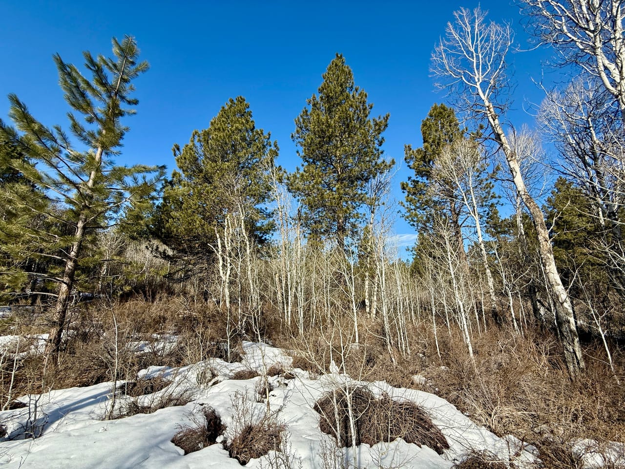5 Acres- German Brown Ln. Chiloquin, OR