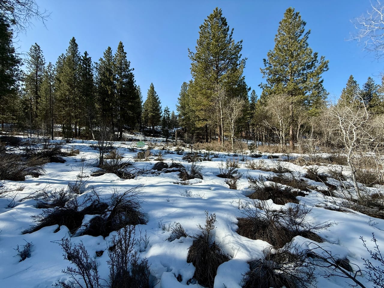 5 Acres- German Brown Ln. Chiloquin, OR