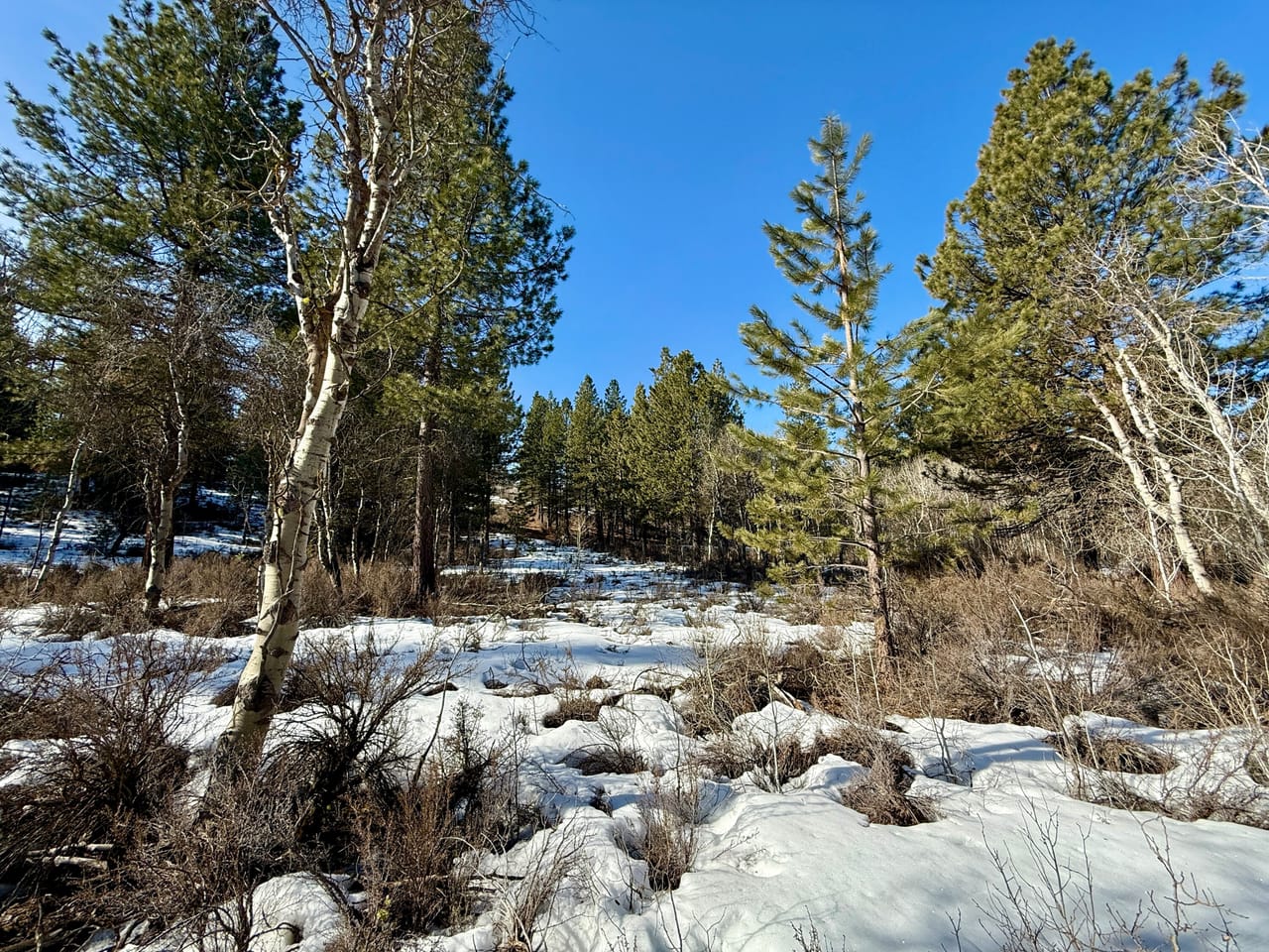 5 Acres- German Brown Ln. Chiloquin, OR