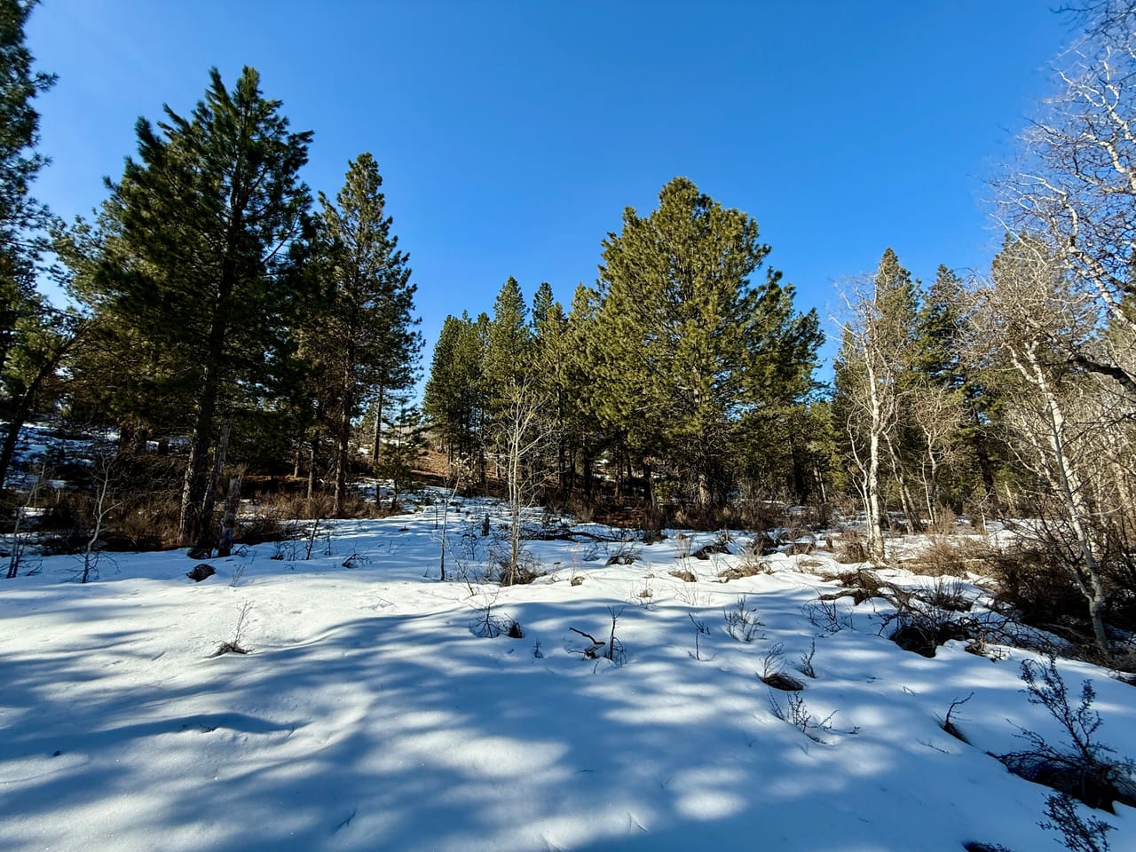 5 Acres- German Brown Ln. Chiloquin, OR