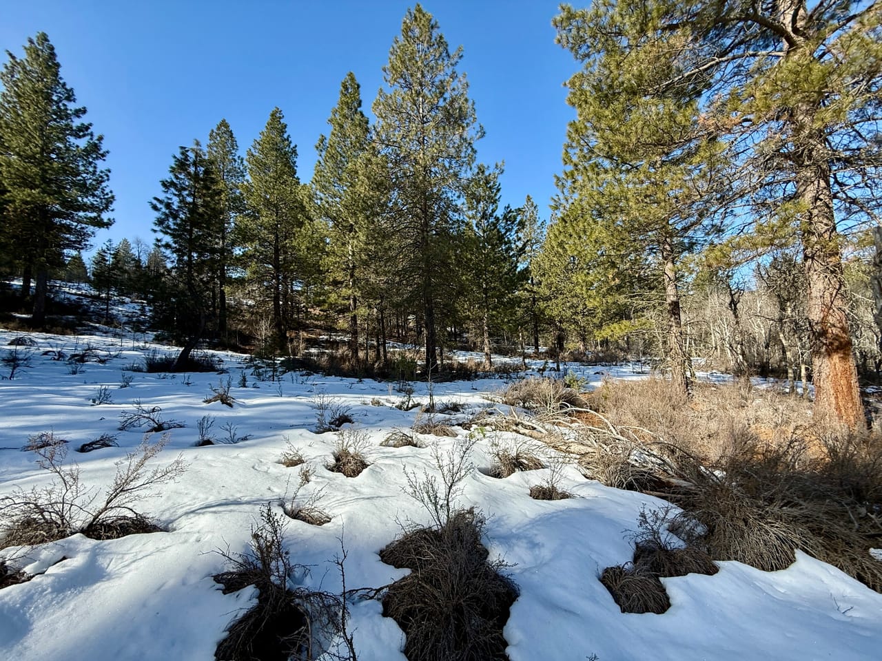 5 Acres- German Brown Ln. Chiloquin, OR