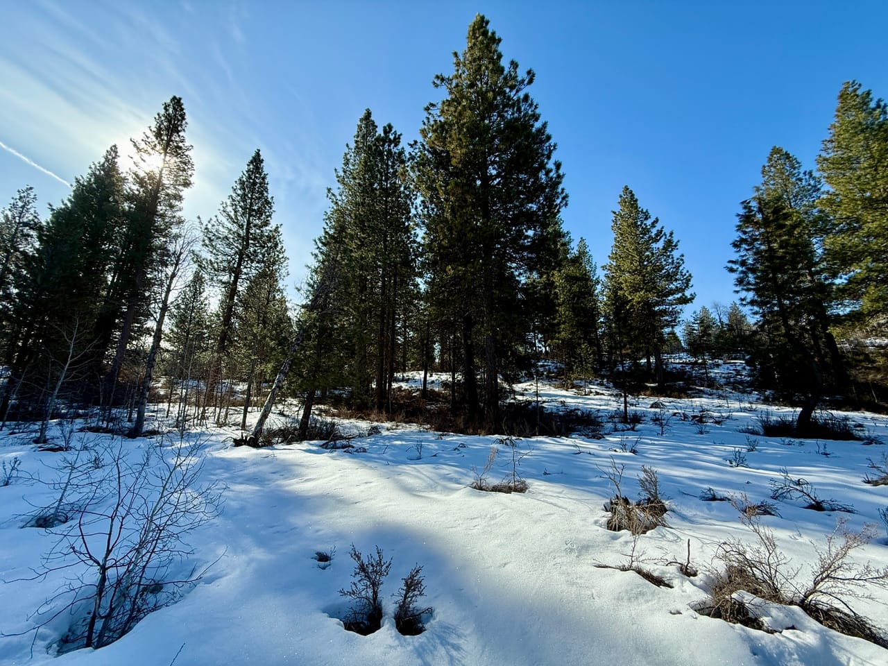 5 Acres- German Brown Ln. Chiloquin, OR