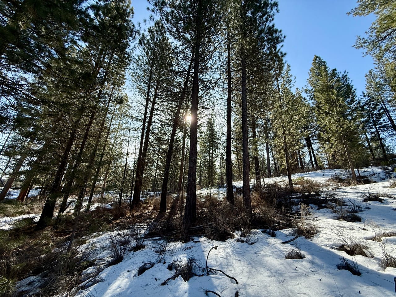 5 Acres- German Brown Ln. Chiloquin, OR