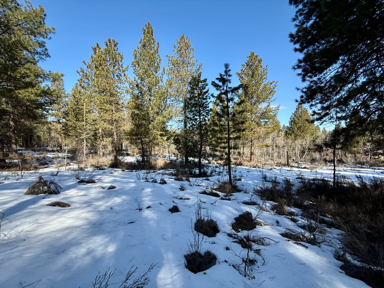 5 Acres- German Brown Ln. Chiloquin, OR