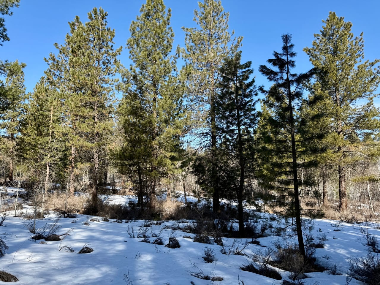 5 Acres- German Brown Ln. Chiloquin, OR