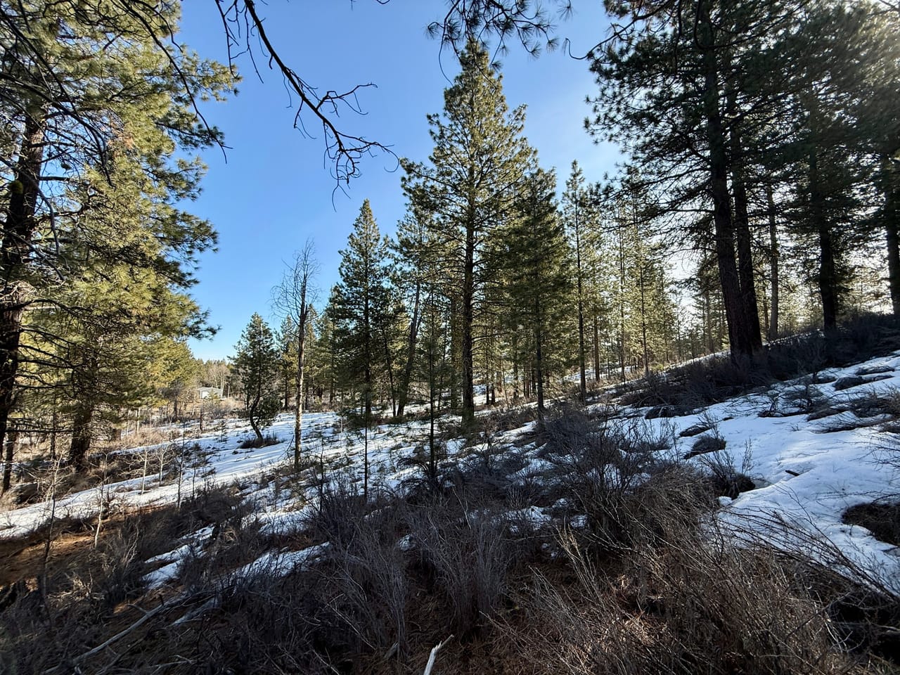 5 Acres- German Brown Ln. Chiloquin, OR