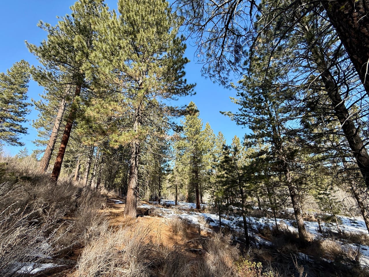 5 Acres- German Brown Ln. Chiloquin, OR