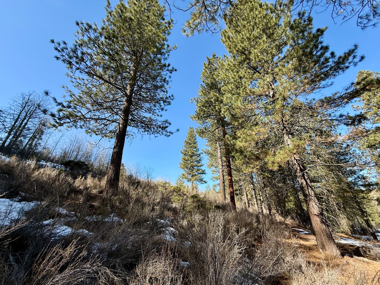 5 Acres- German Brown Ln. Chiloquin, OR