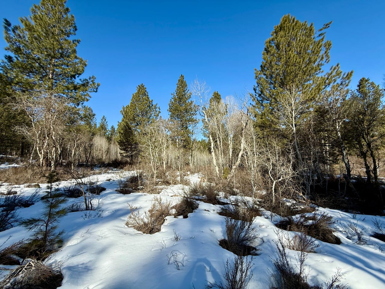 5 Acres- German Brown Ln. Chiloquin, OR