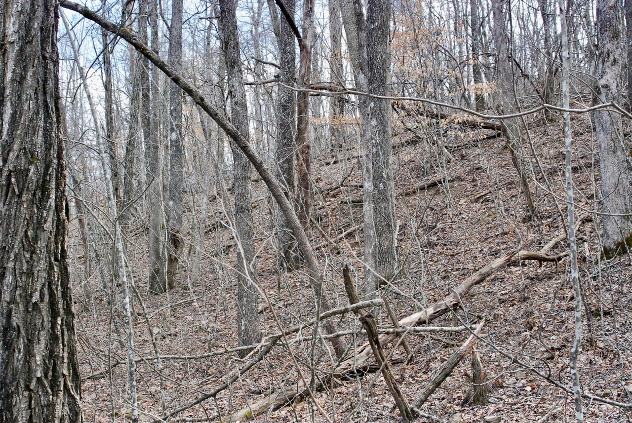 Listing Image 22