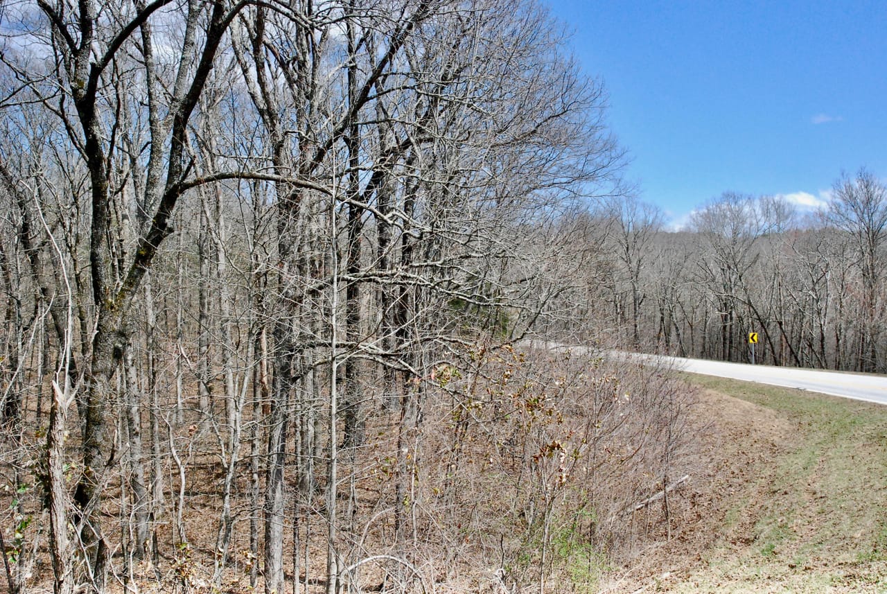 Listing Image 24