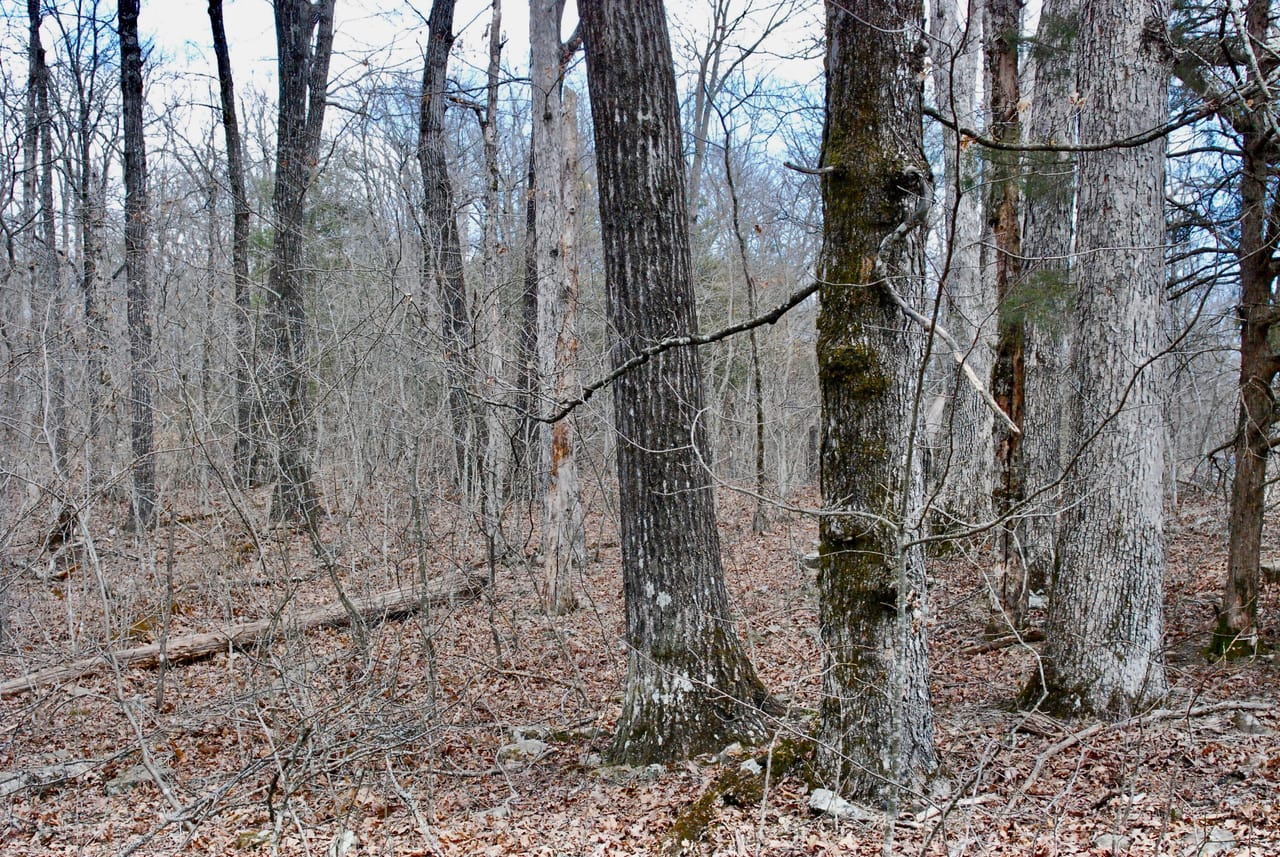 Listing Image 25