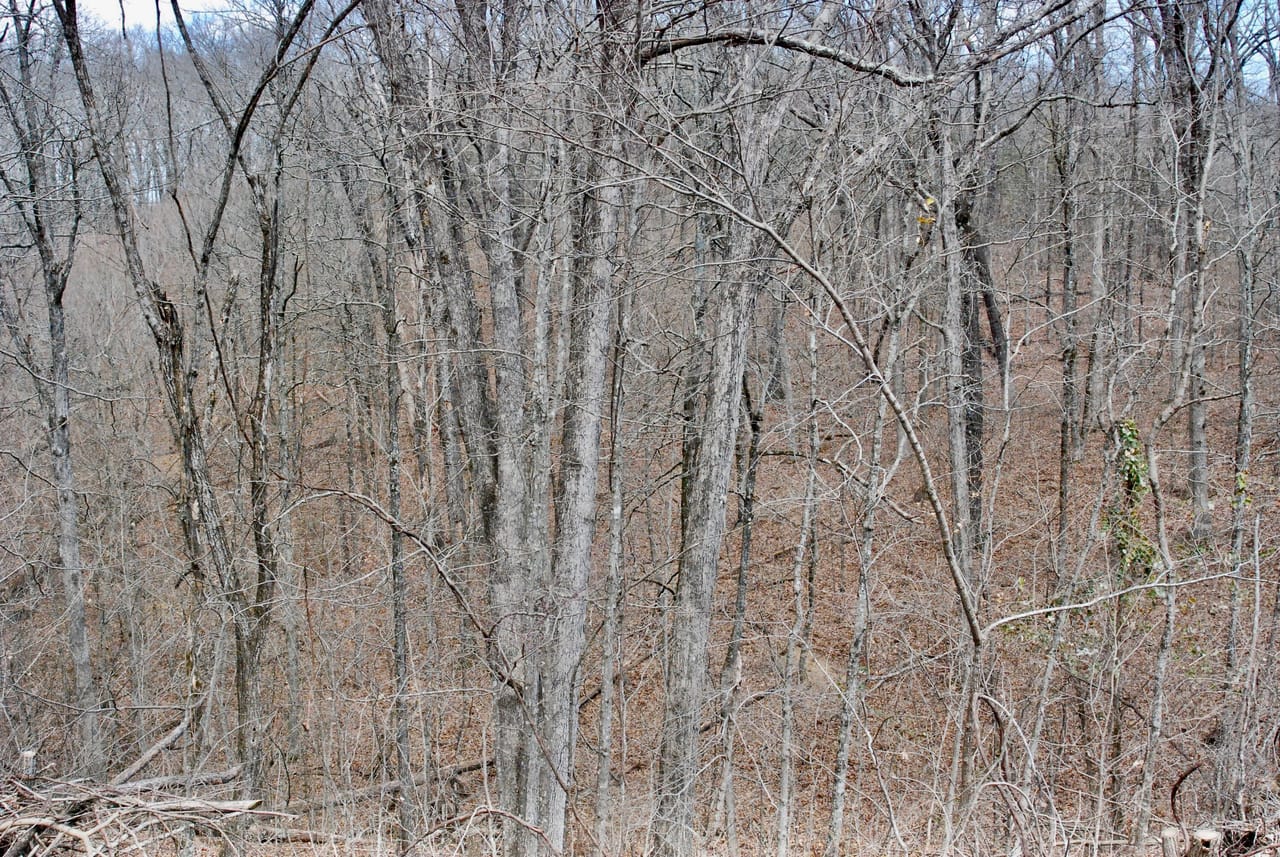 Listing Image 27