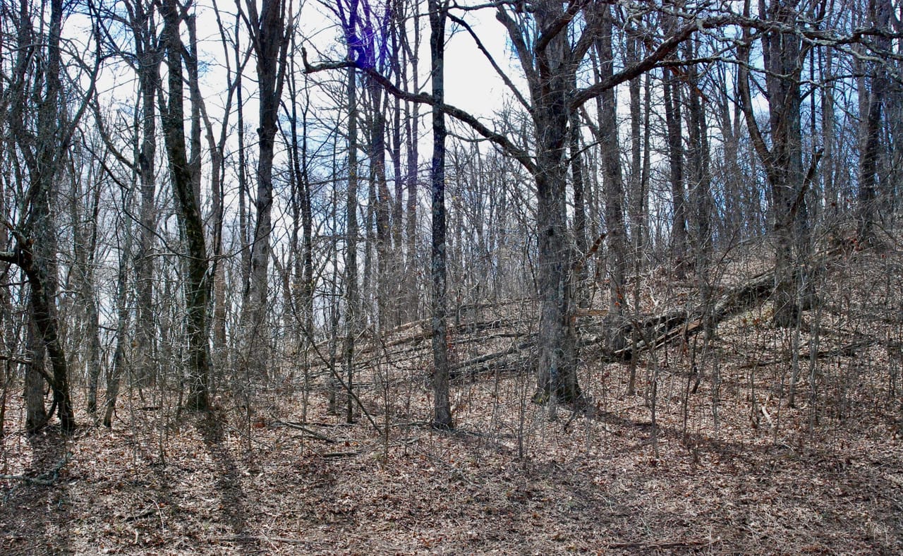 Listing Image 31