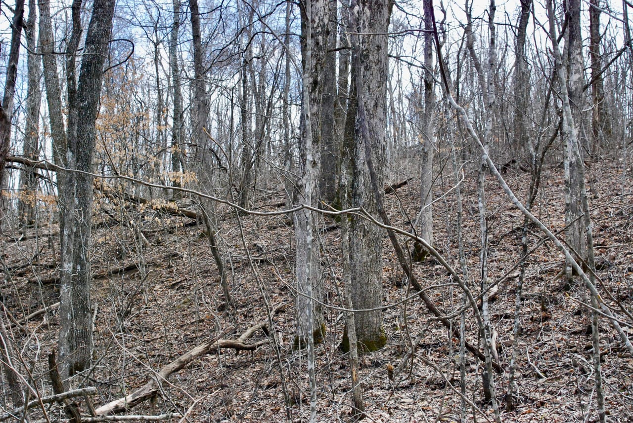 Listing Image 35