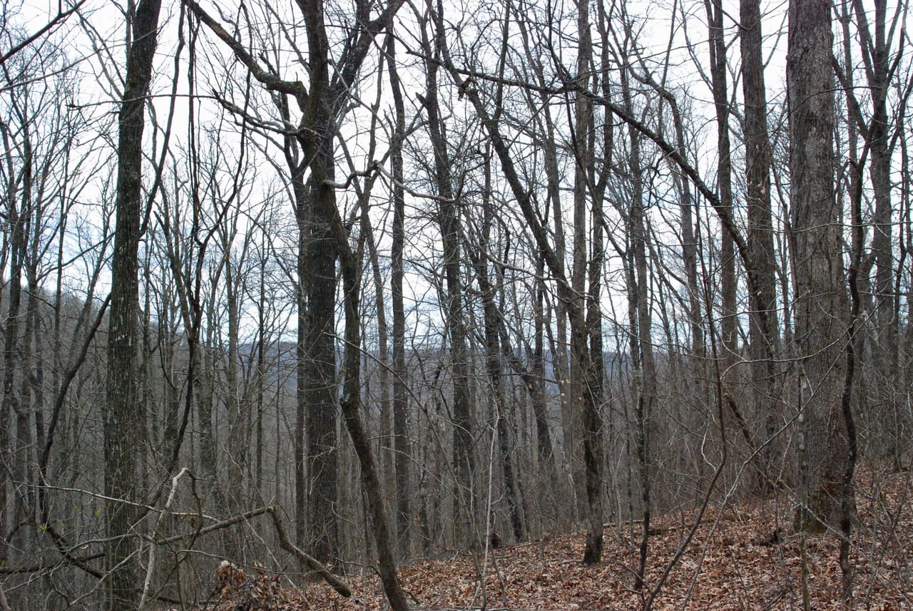 Listing Image 37